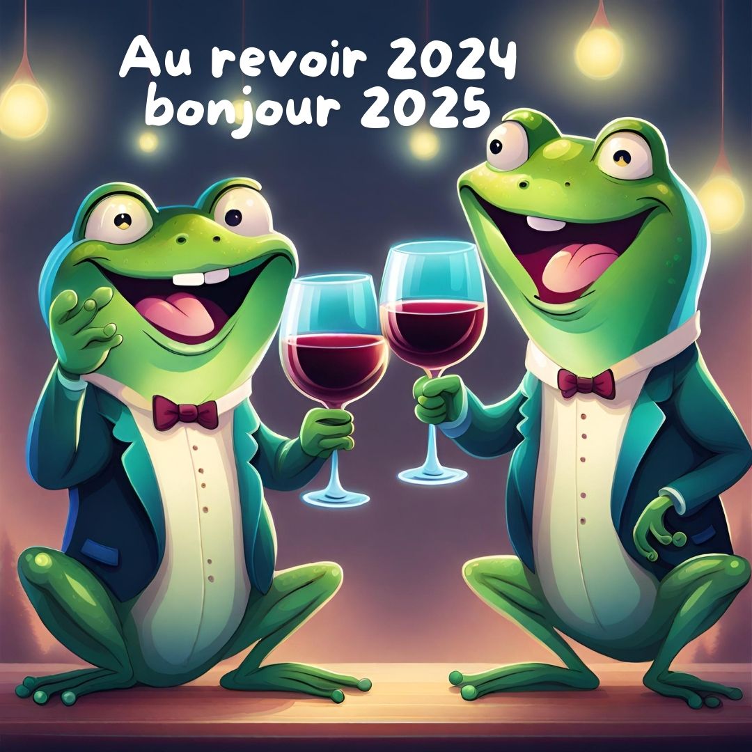 Au revoir 2024 bonjour 2025 Bonne annee Humour