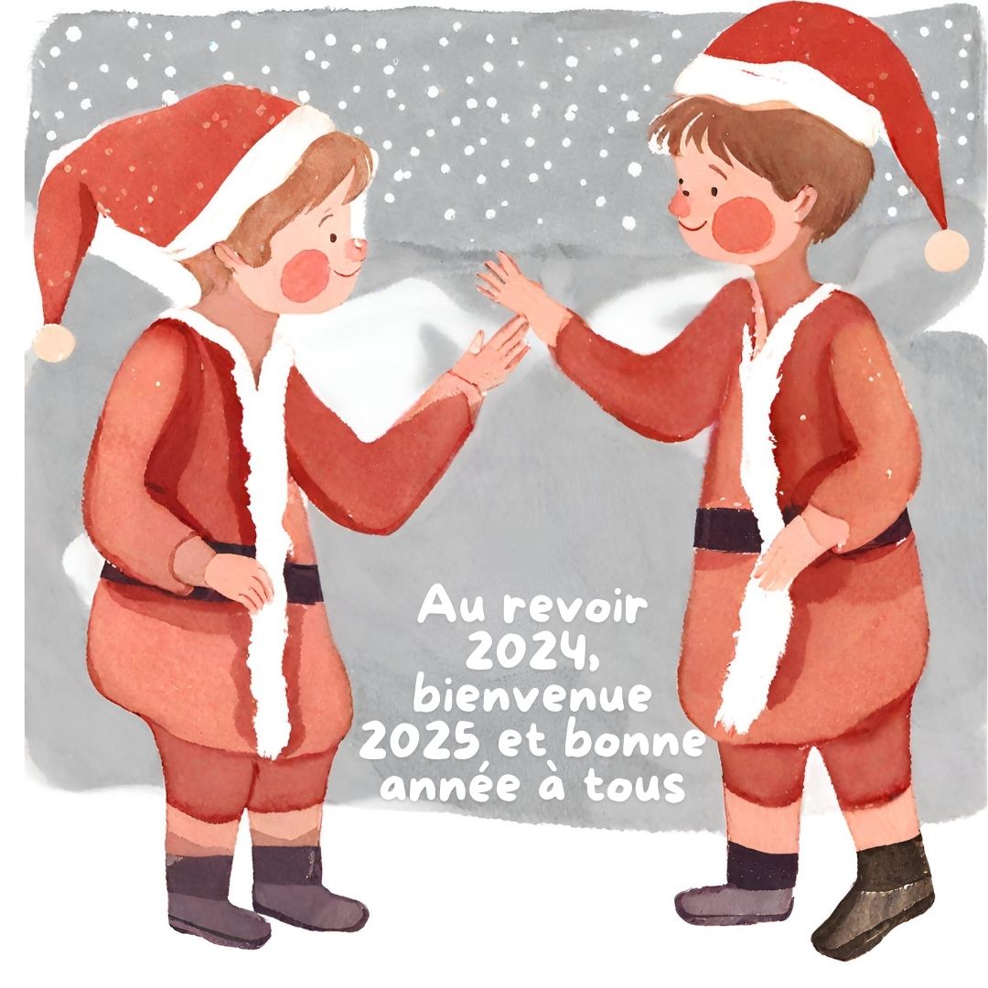 Santa Salutation bonne année Nouvel an 2025 Humour
