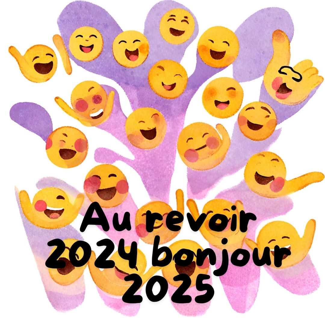 emoji image drôle Bonne annee Humour 2025 au revoir bonjour 